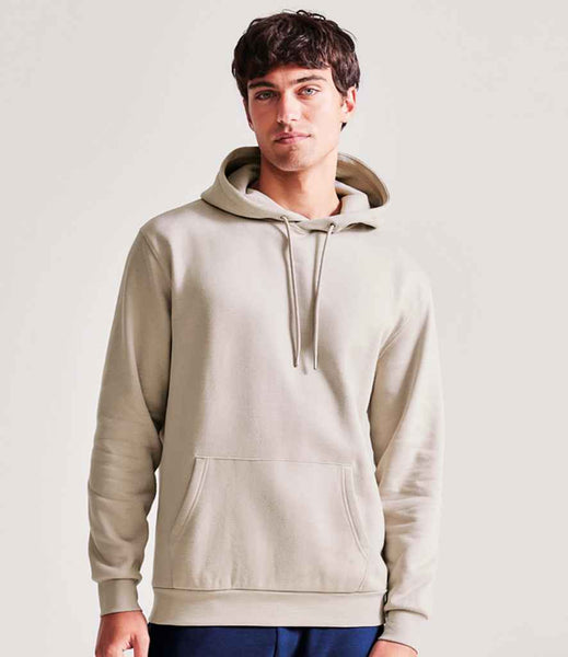 AM101 Stone Model
